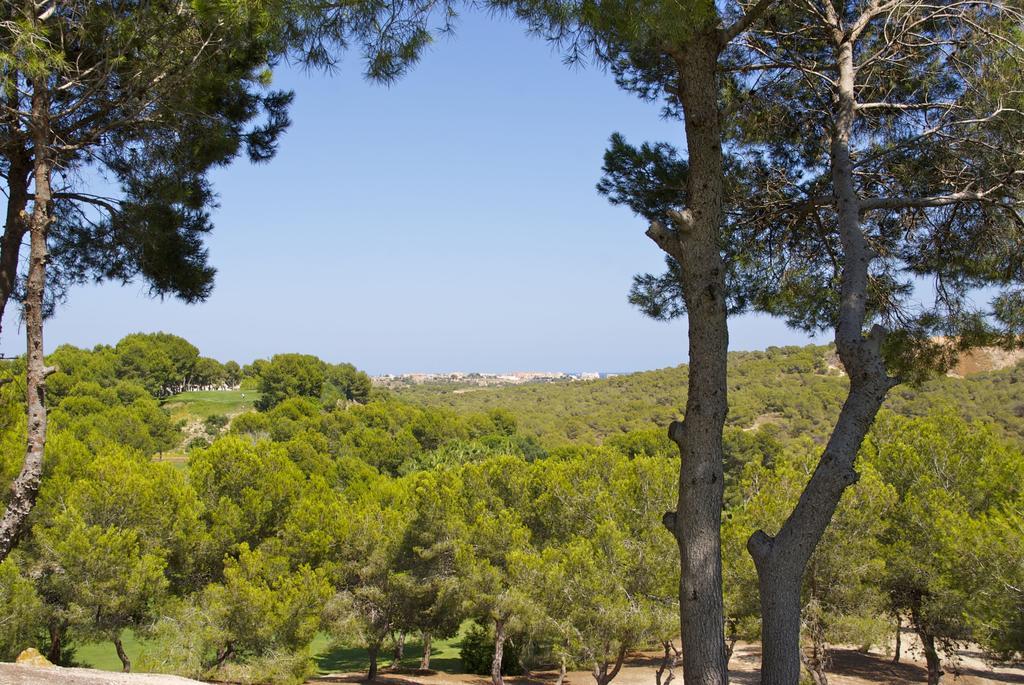 Casa Vromans Alto Τορεβιέχα Δωμάτιο φωτογραφία
